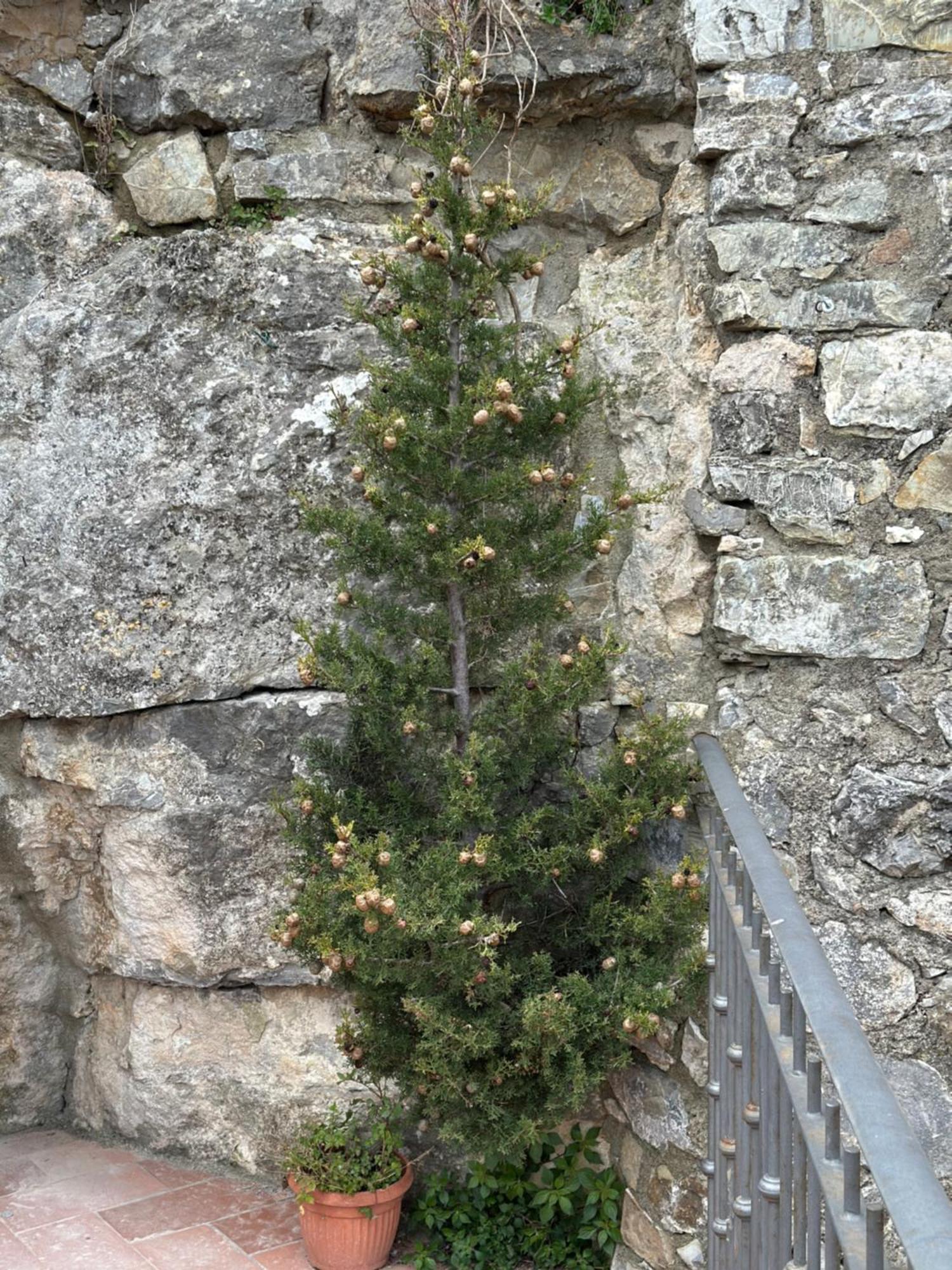 Ermione Διαμέρισμα Castiglione dʼOrcia Εξωτερικό φωτογραφία